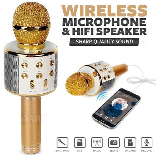 Wireless Bluetooth Karaoke Microphone for Kids (Portable)