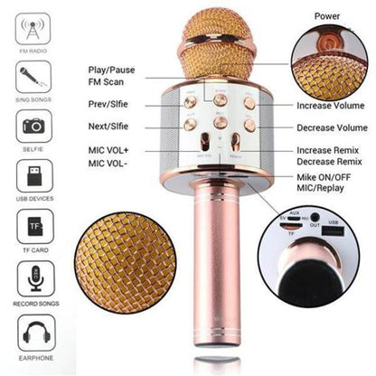 Wireless Bluetooth Karaoke Microphone for Kids (Portable)