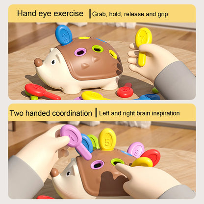 Hedgehog Color Matching Kids Sensory Toys